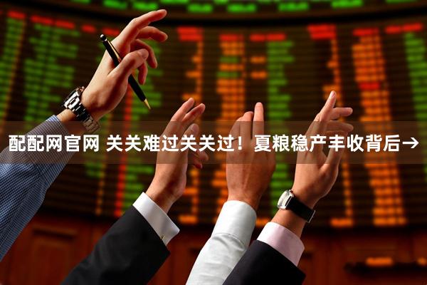 配配网官网 关关难过关关过！夏粮稳产丰收背后→