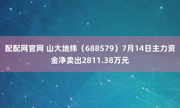 配配网官网 山大地纬（688579）7月14日主力资金净卖出2811.38万元