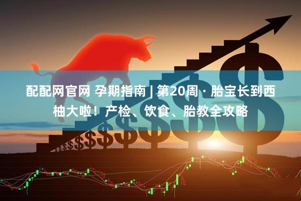 配配网官网 孕期指南 | 第20周 · 胎宝长到西柚大啦！产检、饮食、胎教全攻略