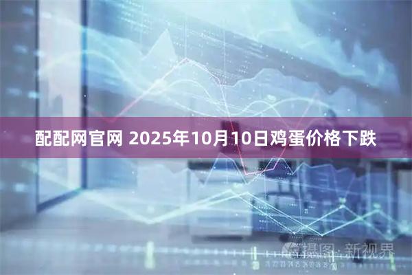 配配网官网 2025年10月10日鸡蛋价格下跌